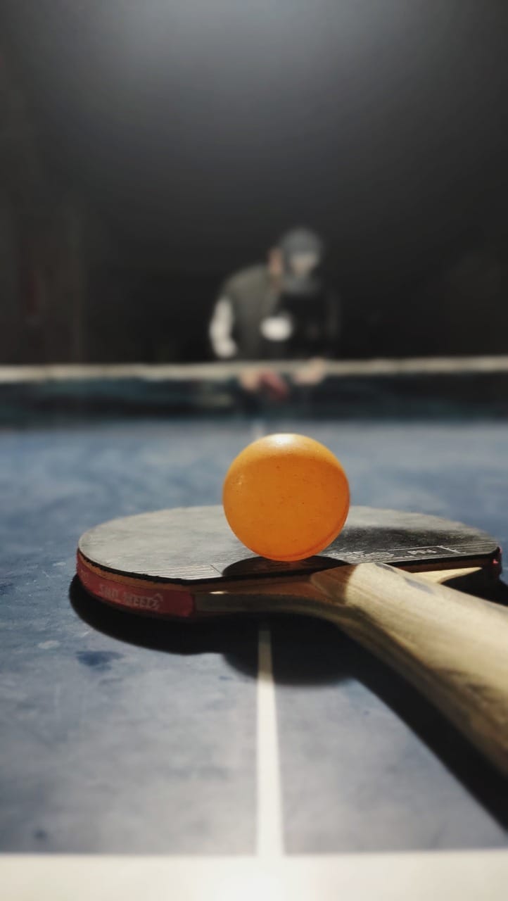 table tennis, ball, racket, table tennis ball, table tennis racket, paddle, table tennis paddle, sport, game, play, player, table, tennis, table tennis, table tennis, table tennis, table tennis, table tennis